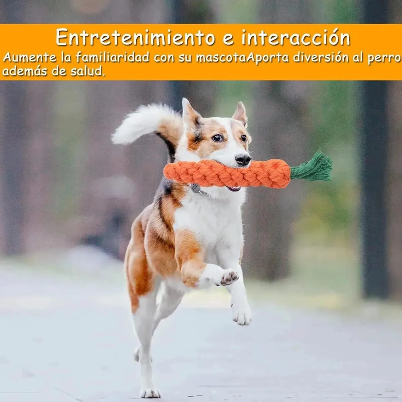 SET DE 10 JUGUETES DIVERSOS PARA PERROS Y MASCOTAS - 6