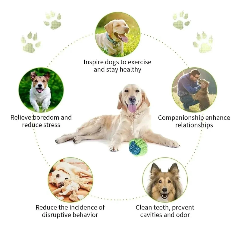 SET DE 10 JUGUETES DIVERSOS PARA PERROS Y MASCOTAS - 7