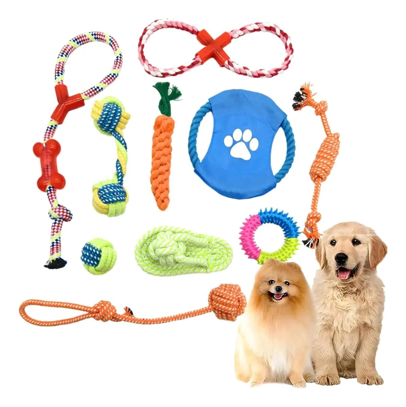 SET DE 10 JUGUETES DIVERSOS PARA PERROS PEQUEÑOS Y MEDIANOS - 1