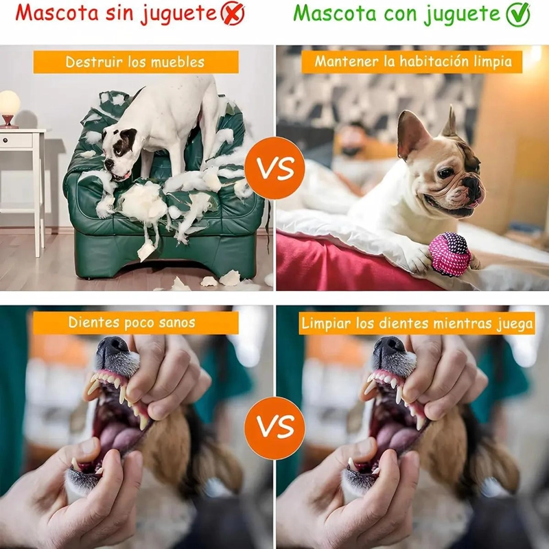 SET DE 10 JUGUETES DIVERSOS PARA PERROS PEQUEÑOS Y MEDIANOS - 2