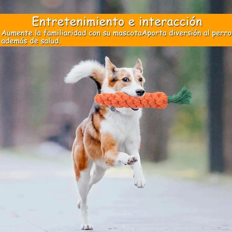 SET DE 10 JUGUETES DIVERSOS PARA PERROS PEQUEÑOS Y MEDIANOS - 5