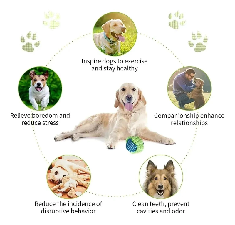 SET DE 10 JUGUETES DIVERSOS PARA PERROS PEQUEÑOS Y MEDIANOS - 6