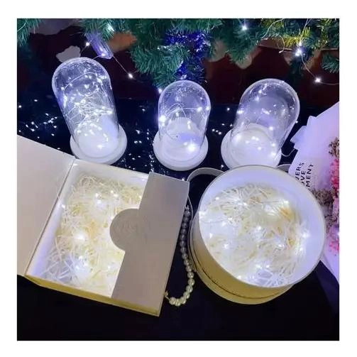 PACK DE 10 CADENAS DE LUCES LED DE 3 METROS CON 30 MICRO LEDS - 2