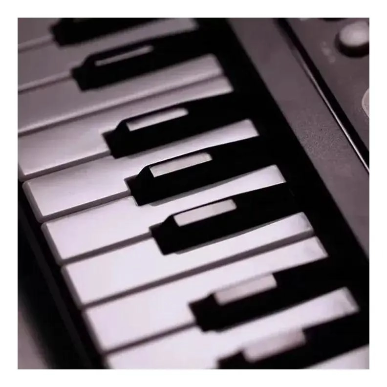 TECLADO MUSICAL DIGITAL DE 61 TECLAS CON MICROFONO - 2