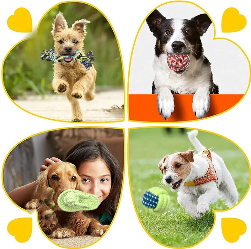 SET DE 10 JUGUETES INTERACTIVOS PARA PERROS DE ALGODON - 6