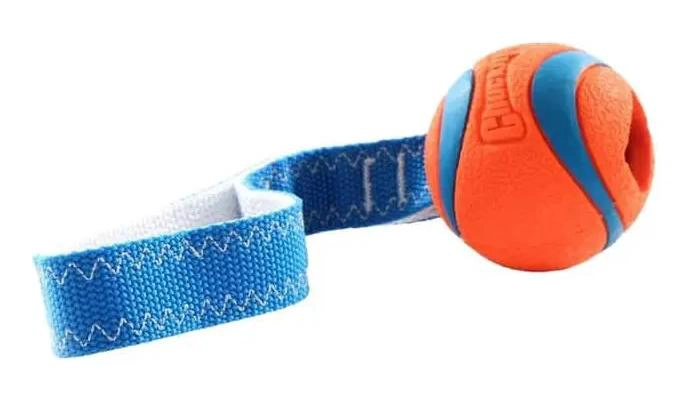 PELOTA INTERACTIVA PARA PERROS CON MANGO RESISTENTE - 1