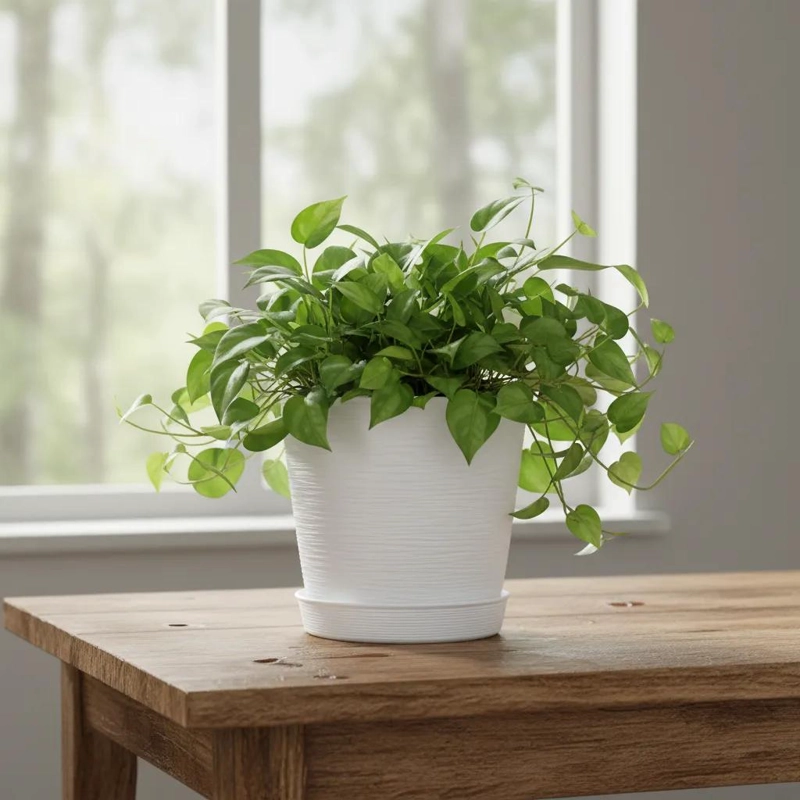 MACETERO GRANDE TEXTURIZADO IDEAL PARA INTERIOR Y EXTERIOR - 9