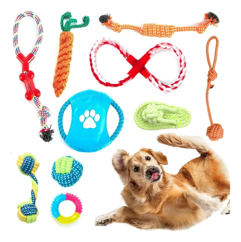 SET DE 10 JUGUETES INTERACTIVOS PARA PERROS PEQUEÑOS Y MEDIANOS - 1