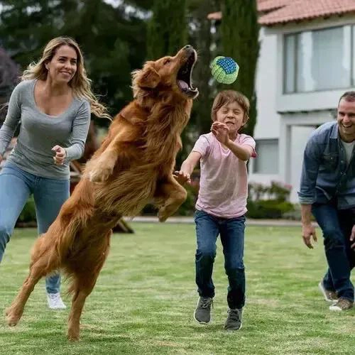 SET DE 10 JUGUETES INTERACTIVOS PARA PERROS PEQUEÑOS Y MEDIANOS - 7