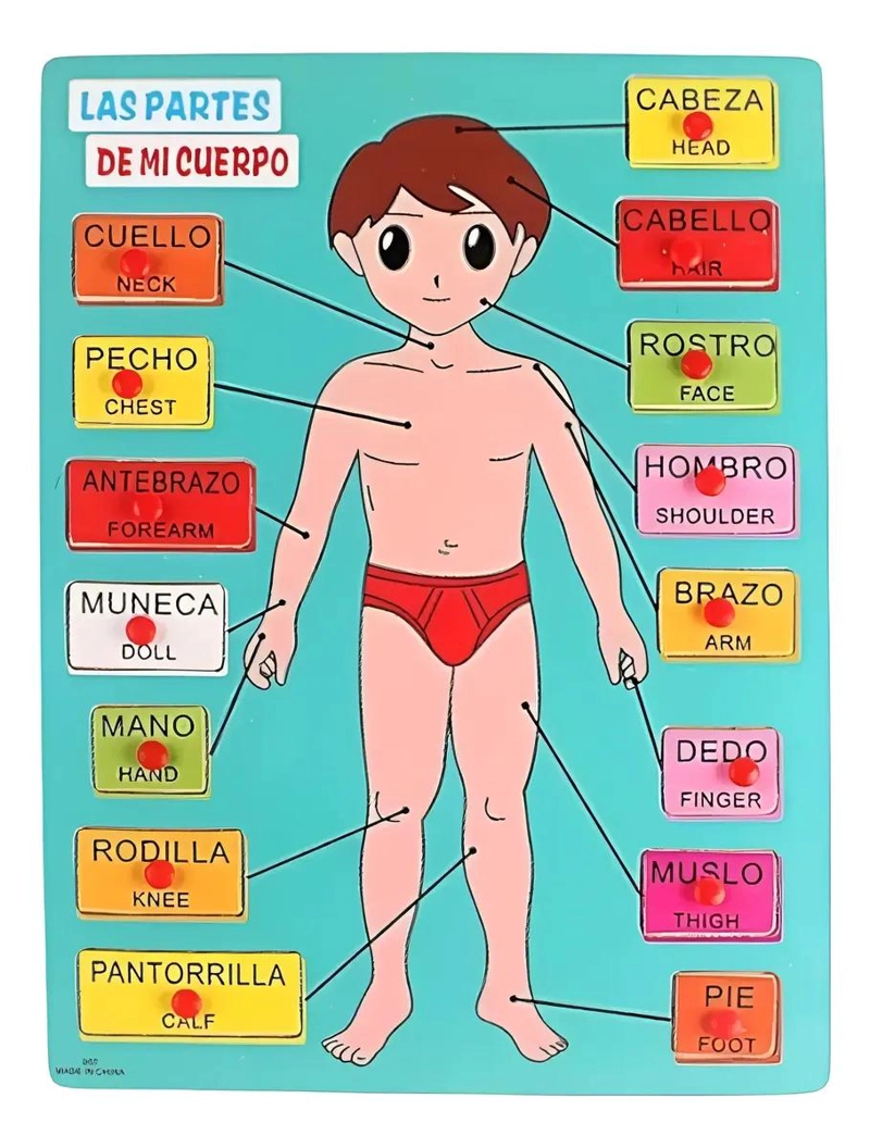 ROMPECABEZAS EDUCATIVO DE ENCASTRE PARA APRENDER PARTES DEL CUERPO - 1