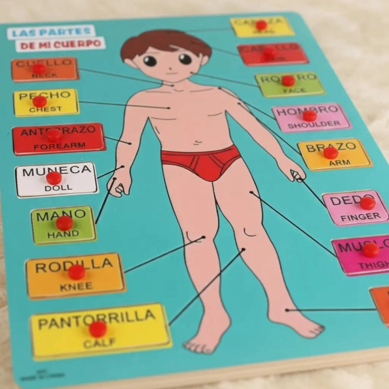 ROMPECABEZAS EDUCATIVO DE ENCASTRE PARA APRENDER PARTES DEL CUERPO - 10