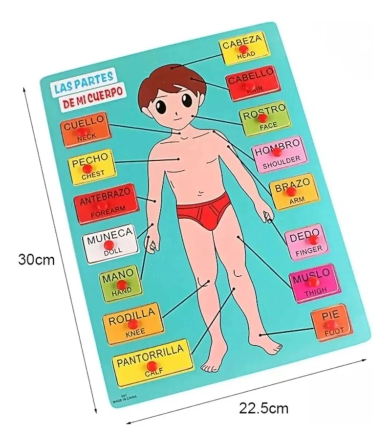 ROMPECABEZAS EDUCATIVO DE ENCASTRE PARA APRENDER PARTES DEL CUERPO - 3