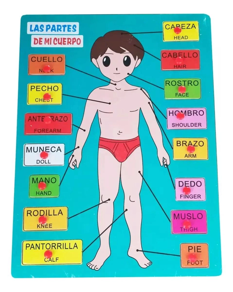 ROMPECABEZAS EDUCATIVO DE ENCASTRE PARA APRENDER PARTES DEL CUERPO - 5