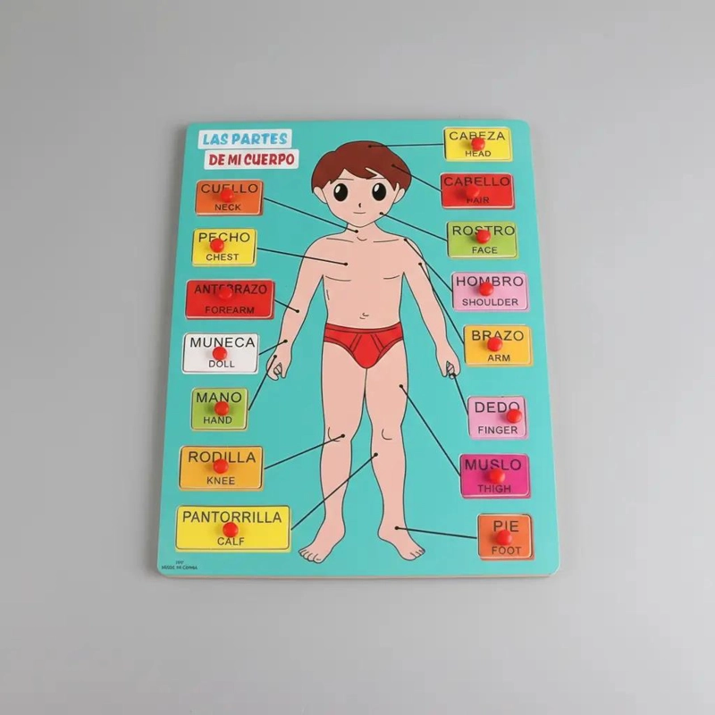 ROMPECABEZAS EDUCATIVO DE ENCASTRE PARA APRENDER PARTES DEL CUERPO - 6