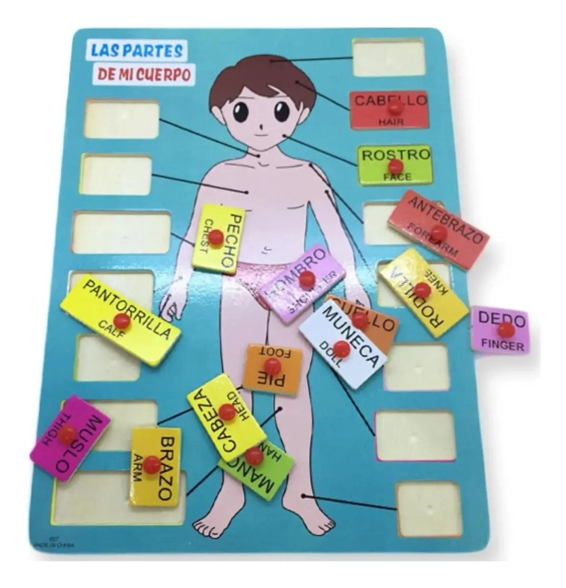 ROMPECABEZAS EDUCATIVO DE ENCASTRE PARA APRENDER PARTES DEL CUERPO - 7