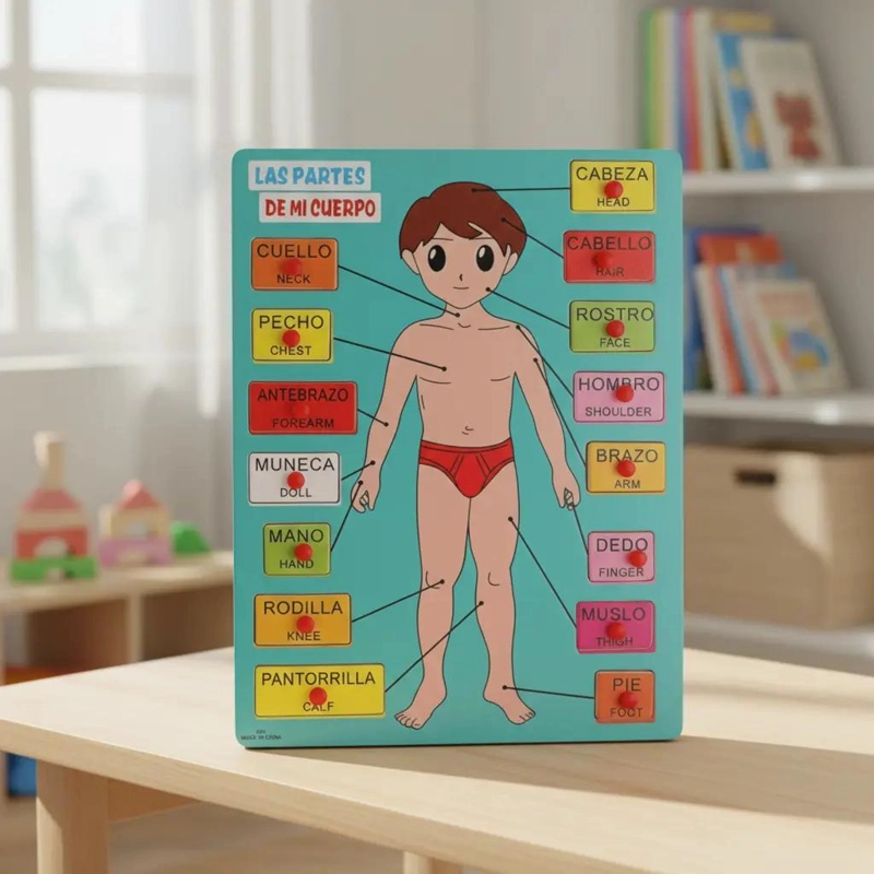 ROMPECABEZAS EDUCATIVO DE ENCASTRE PARA APRENDER PARTES DEL CUERPO - 9