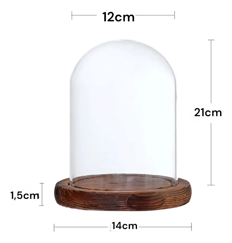 CUPULA DE CRISTAL CON BASE DE MADERA PARA DECORACION ELEGANTE - 4