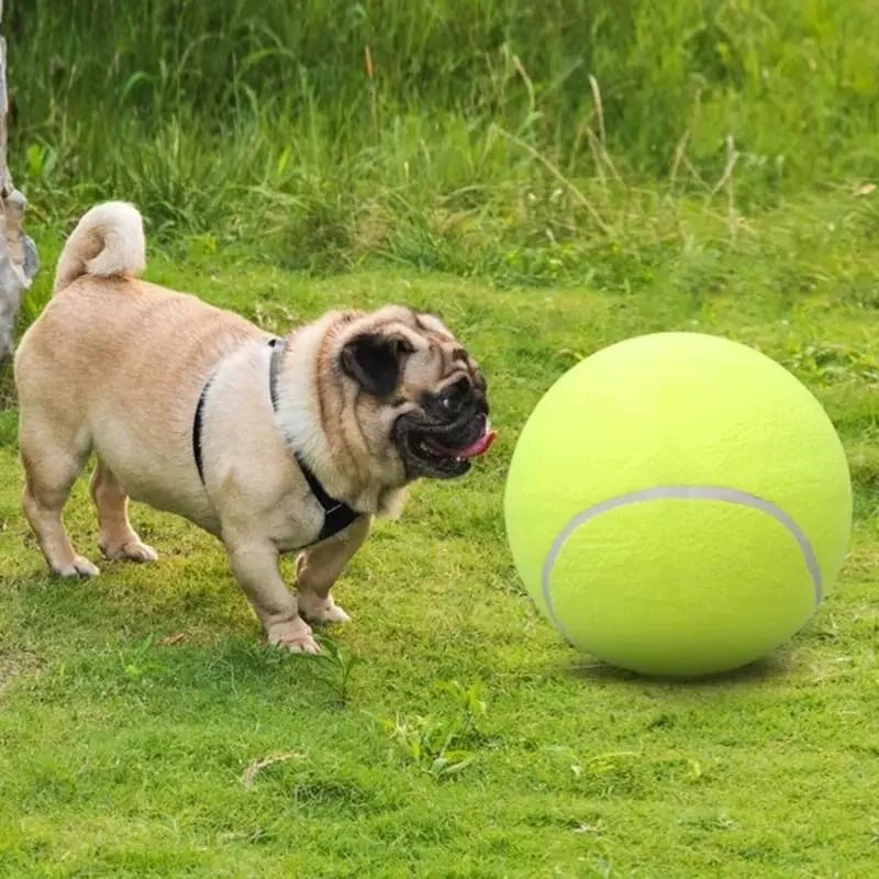 PELOTA DE TENIS GIGANTE PARA PERROS GRANDES DE 24 CM - 4