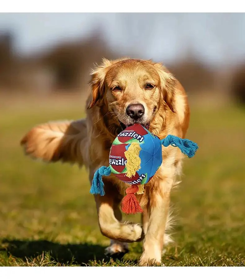 PELOTA MASTICABLE PARA PERROS 14.5CM IDEAL PARA SALUD BUCAL - 6