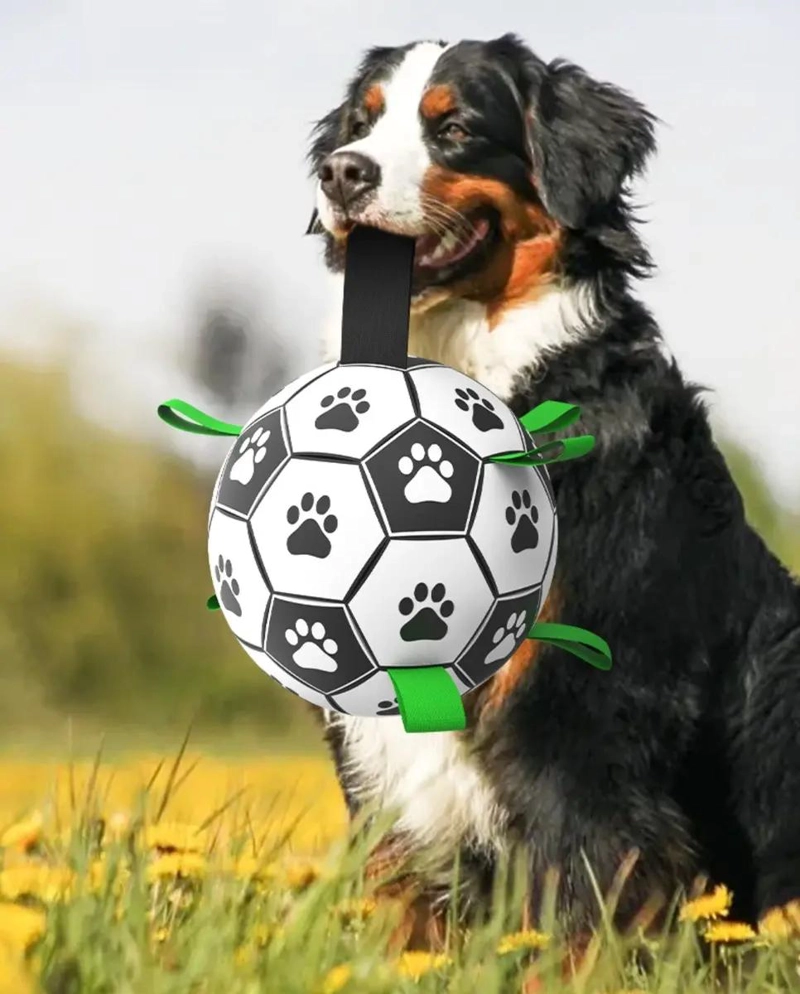 BALON DE FUTBOL INTERACTIVO PARA PERROS CON ASA Y CUERDA - 5