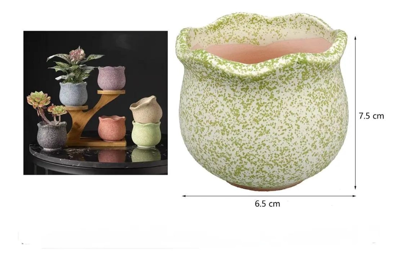PACK DE 3 MACETEROS CILINDRICOS DE CERAMICA PARA SUCULENTAS - 5