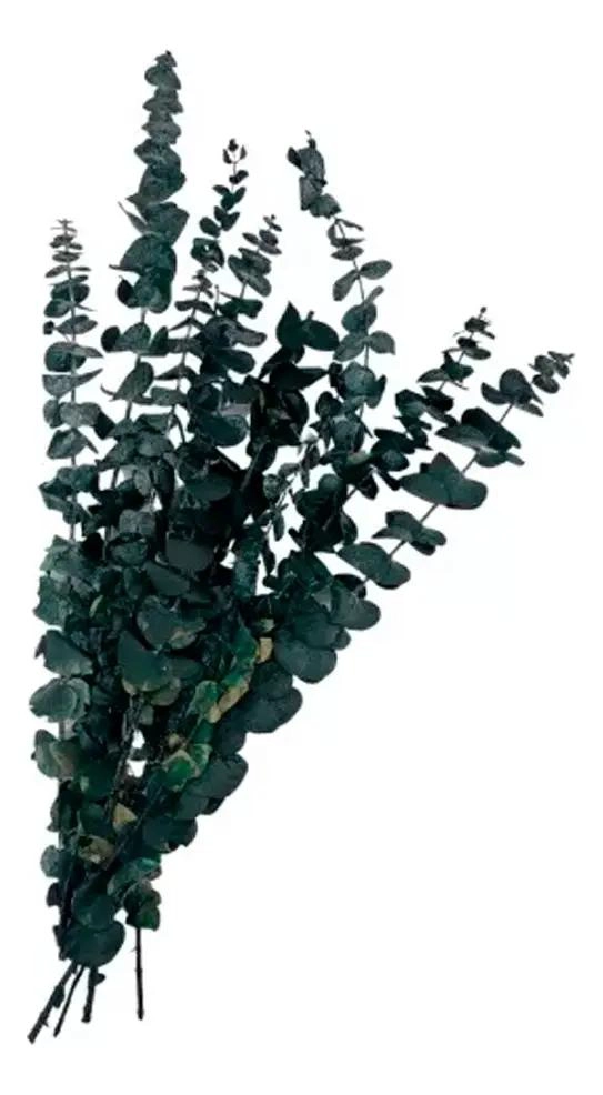 RAMAS DE EUCALIPTO NATURAL SECADO Y PRESERVADO CON AROMA - 4