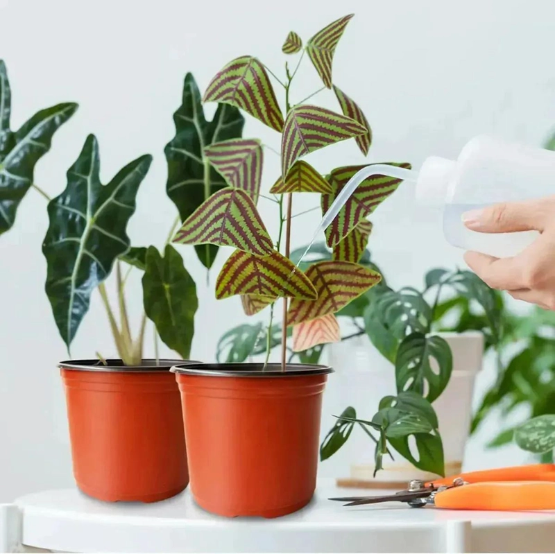 MACETAS DE PLASTICO PARA VIVERO 100 PIEZAS 15CM - 6