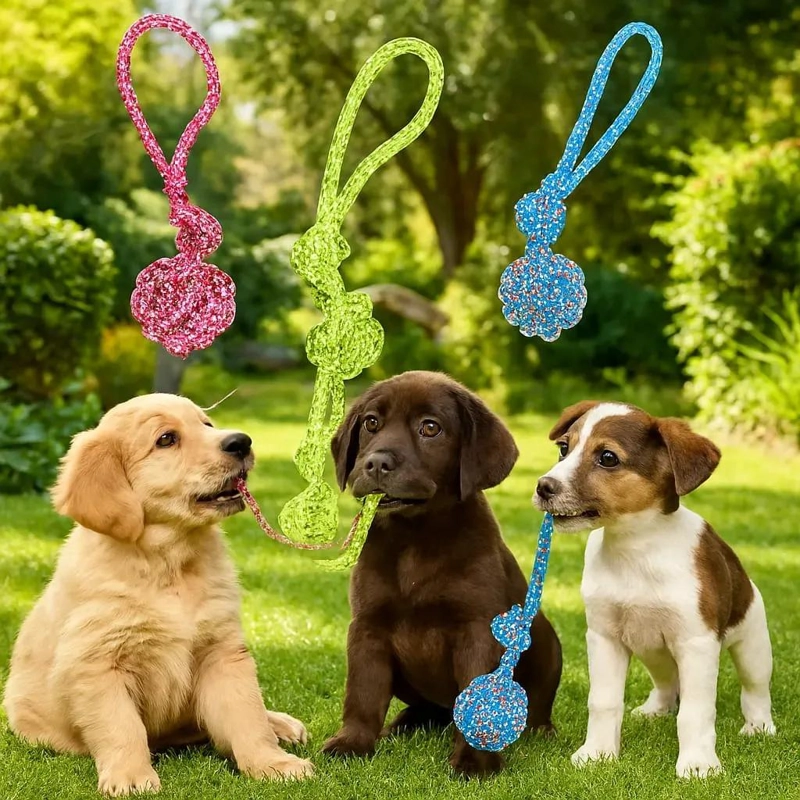 JUGUETE INTERACTIVO PARA PERROS CON CUERDA Y BOLA SONORA - 3