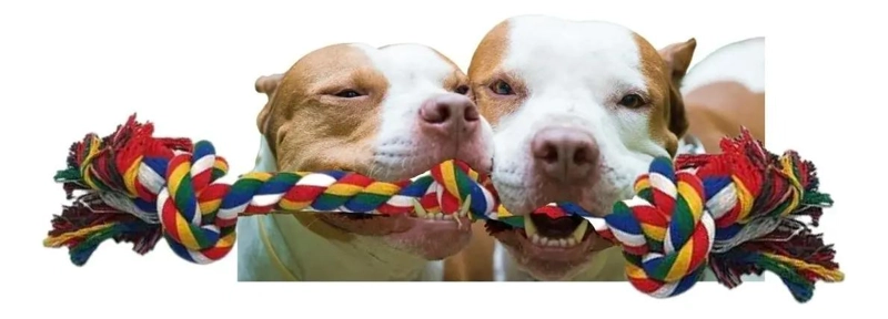 CUERDA MULTICOLOR PARA PERROS 40CM IDEAL PARA CACHORROS - 1