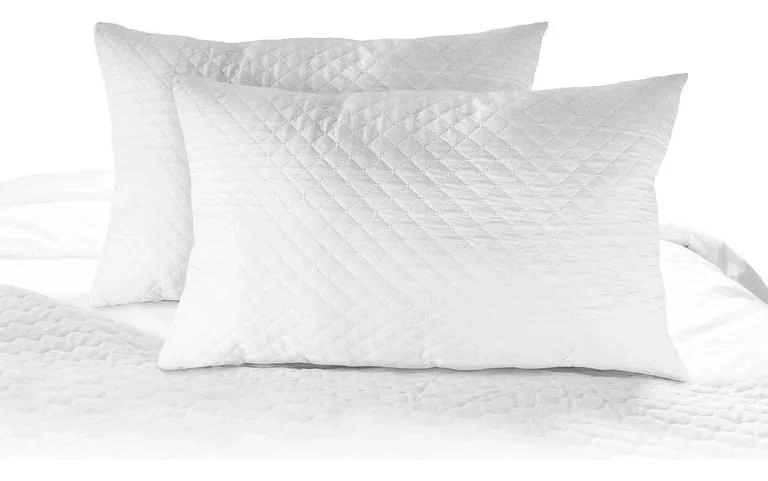 PROTECTOR DE ALMOHADA IMPERMEABLE 50X70 CM CON PROPIEDADES ANTIACAROS - 1