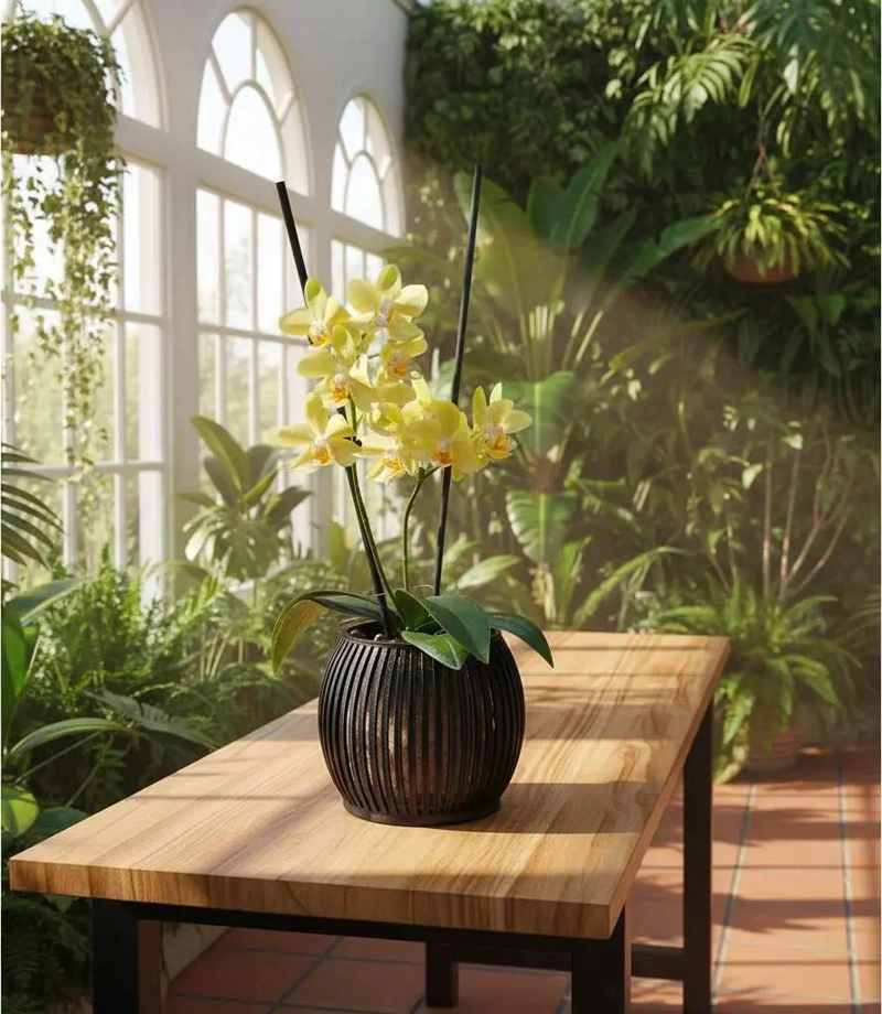 MACETA ZEN PARA ORQUIDEAS MULTIFLOR MEDIANA CON DRENAJE - 4