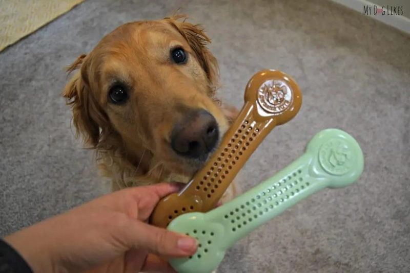 JUGUETE DE NYLON SABOR MANTEQUILLA DE MANI PARA PERROS - 2