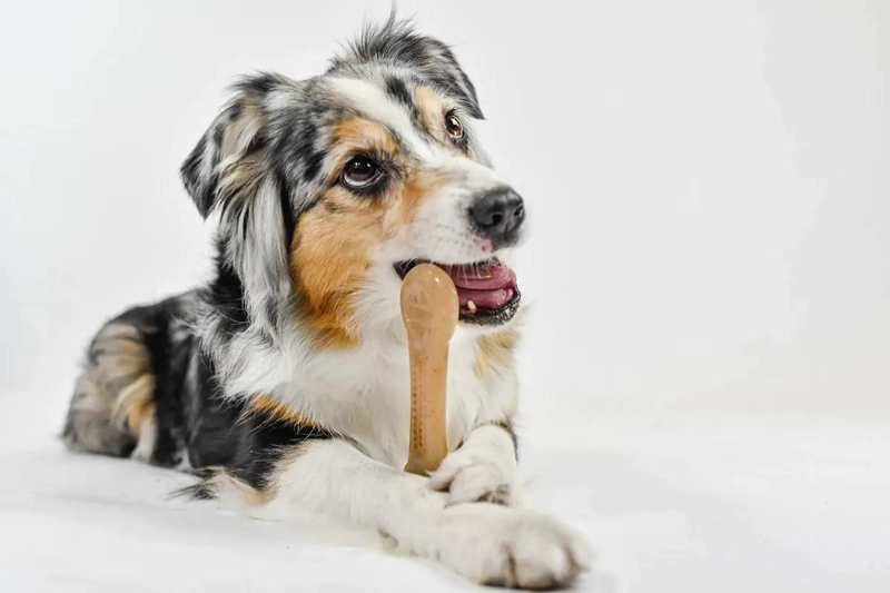 JUGUETE DE NYLON SABOR MANTEQUILLA DE MANI PARA PERROS - 3