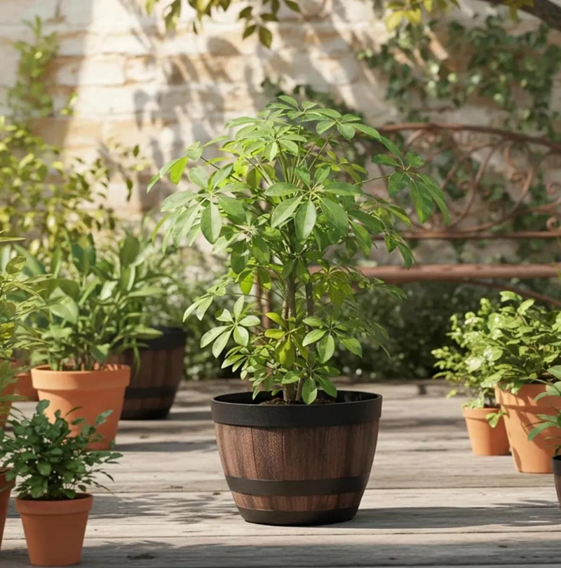 JUEGO DE 2 MACETAS DE BARRIL DE IMITACION MADERA PARA JARDIN - 10