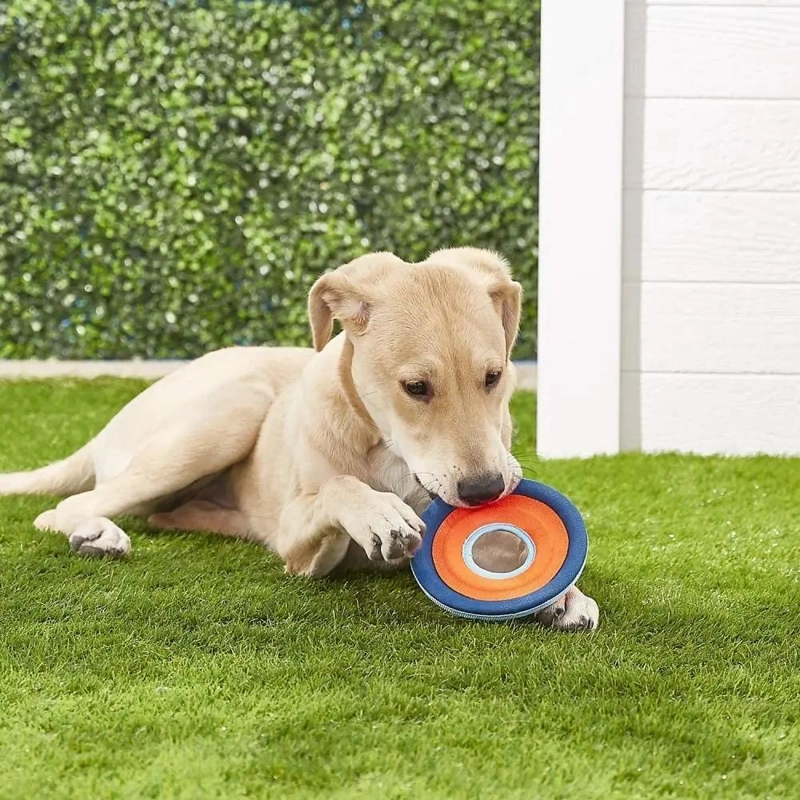 FRISBEE FLOTANTE PARA PERROS PEQUEÑOS IDEAL PARA JUGAR - 1