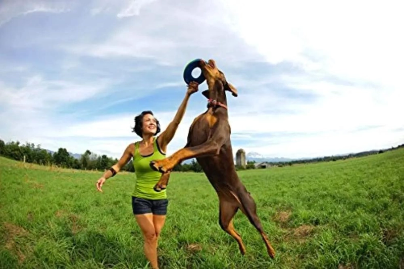 FRISBEE FLOTANTE PARA PERROS PEQUEÑOS IDEAL PARA JUGAR - 3