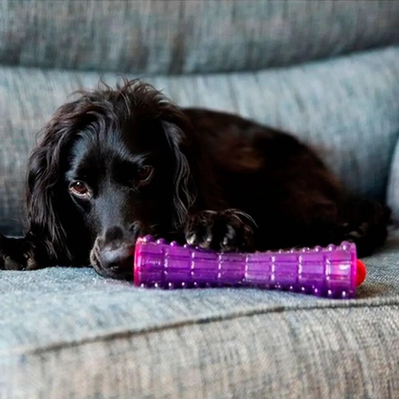 DISPENSADOR DE GOLOSINAS PARA PERROS GRANDES CON TEXTURAS - 1