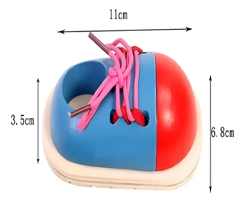 ZAPATO DE MADERA PARA APRENDER A ATAR CORDONES - 2