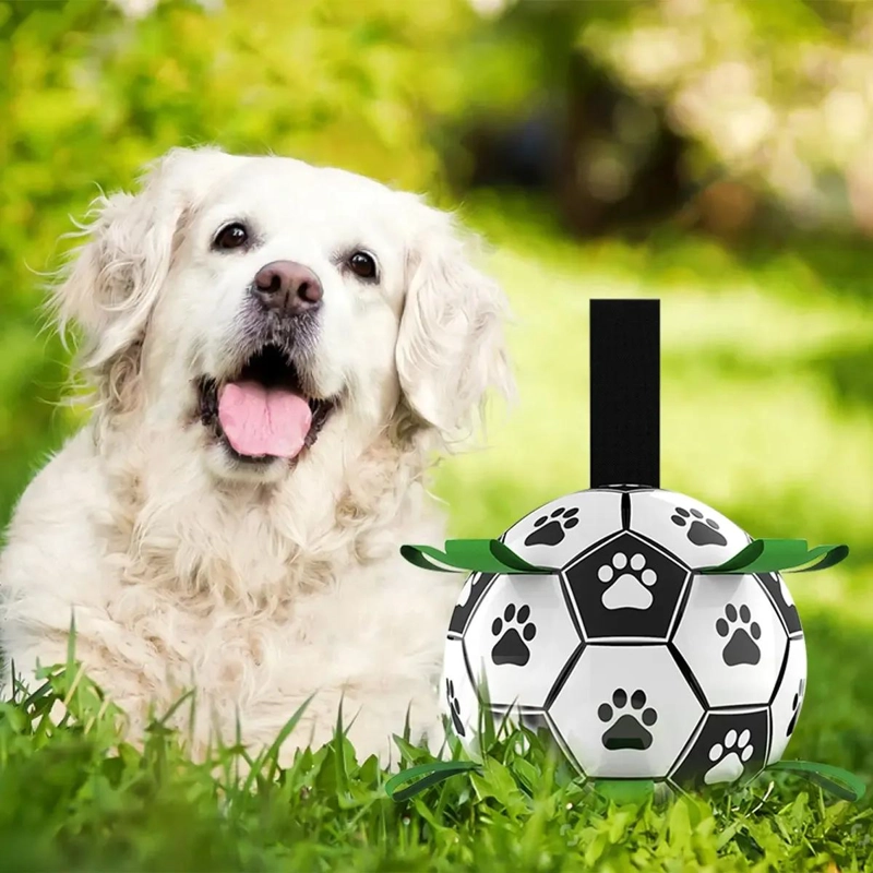 PELOTA DE FUTBOL INTERACTIVA PARA PERROS PEQUEÑOS Y MEDIANOS - 4