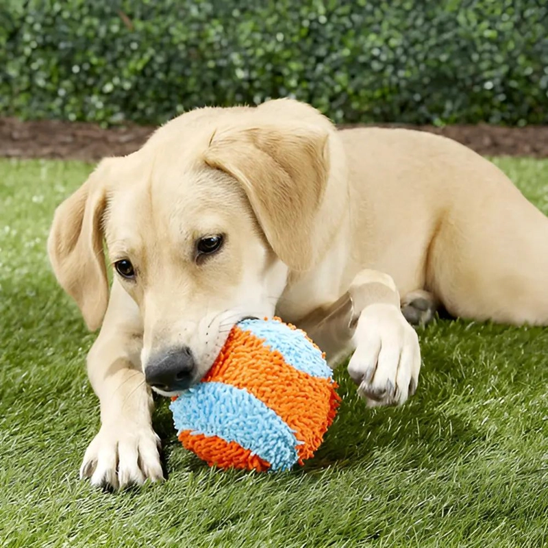 PELOTA SUAVE PARA PERROS DE INTERIOR 11.5CM COLOR NARANJA - 1
