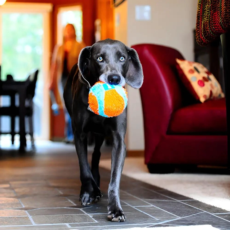 PELOTA SUAVE PARA PERROS DE INTERIOR 11.5CM COLOR NARANJA - 2