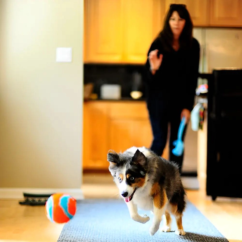 PELOTA SUAVE PARA PERROS DE INTERIOR 11.5CM COLOR NARANJA - 3