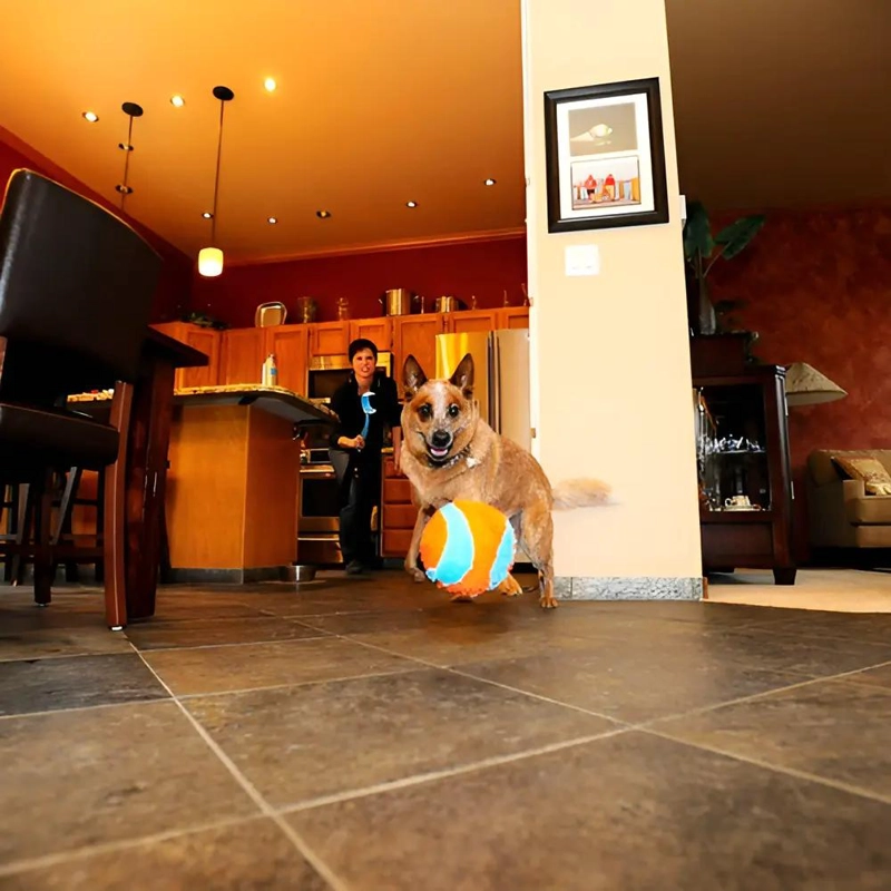 PELOTA SUAVE PARA PERROS DE INTERIOR 11.5CM COLOR NARANJA - 4