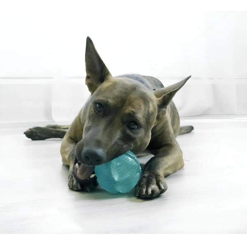 PELOTA RELLENABLE PARA PERRO 8 CM ESTIMULA Y LIMPIA DIENTES - 2