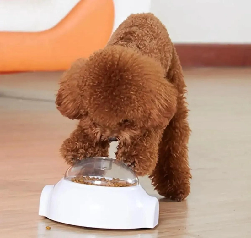 DISPENSADOR AUTOMATICO DE COMIDA Y JUGUETE PARA MASCOTAS - 5