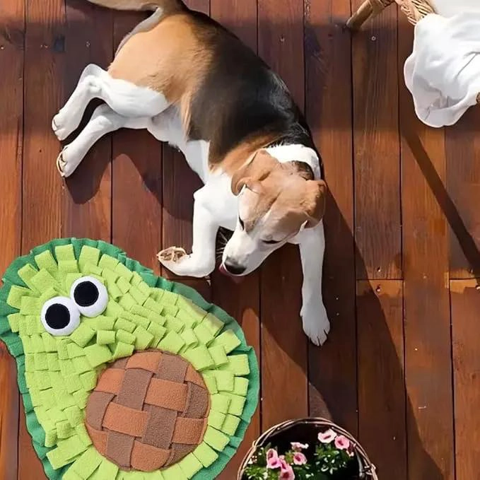 ALFOMBRA INTERACTIVA PARA ESTIMULACION MENTAL DE PERROS - 6