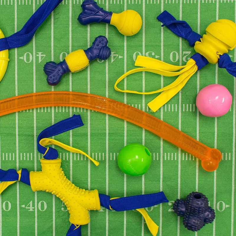 PELOTA DE PLASTICO PARA PERRO MEDIANO IDEAL PARA JUGAR - 1