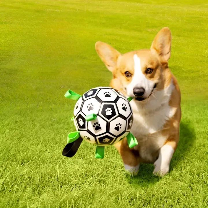 PELOTA DE FUTBOL INTERACTIVA PARA PERROS DE TALLA M - 2