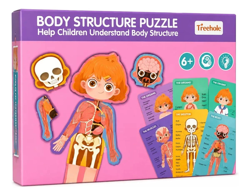 PUZZLE DIDACTICO INFANTIL DE ANATOMIA HUMANA EN CAPAS - 1