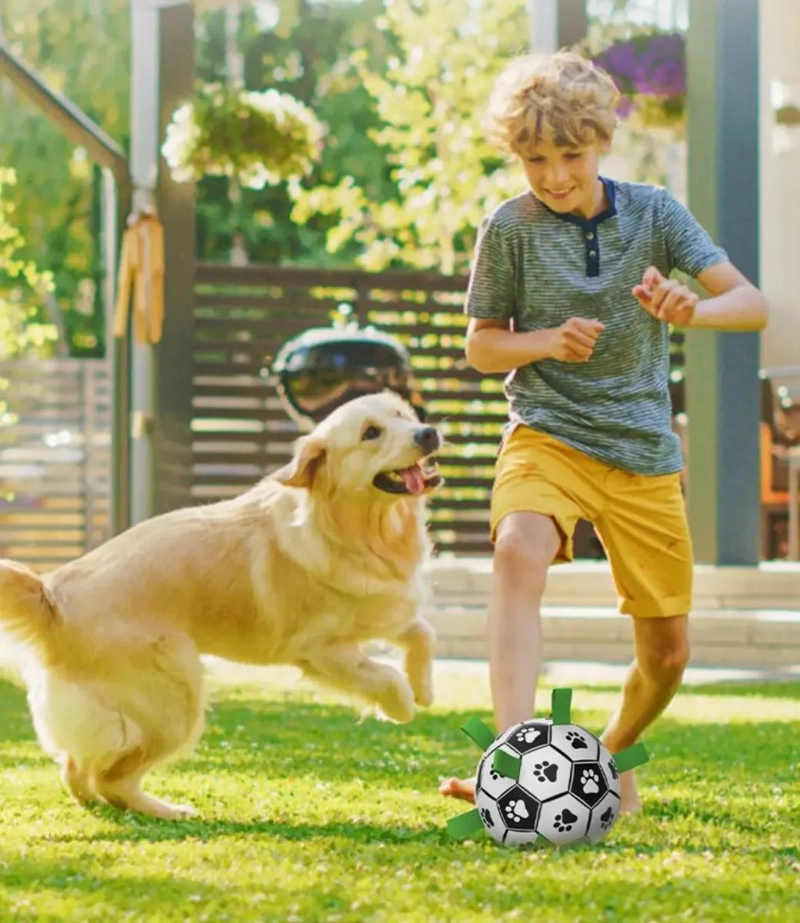 BALON DE FUTBOL INTERACTIVO PARA PERROS CON ASA Y CUERDA - 6